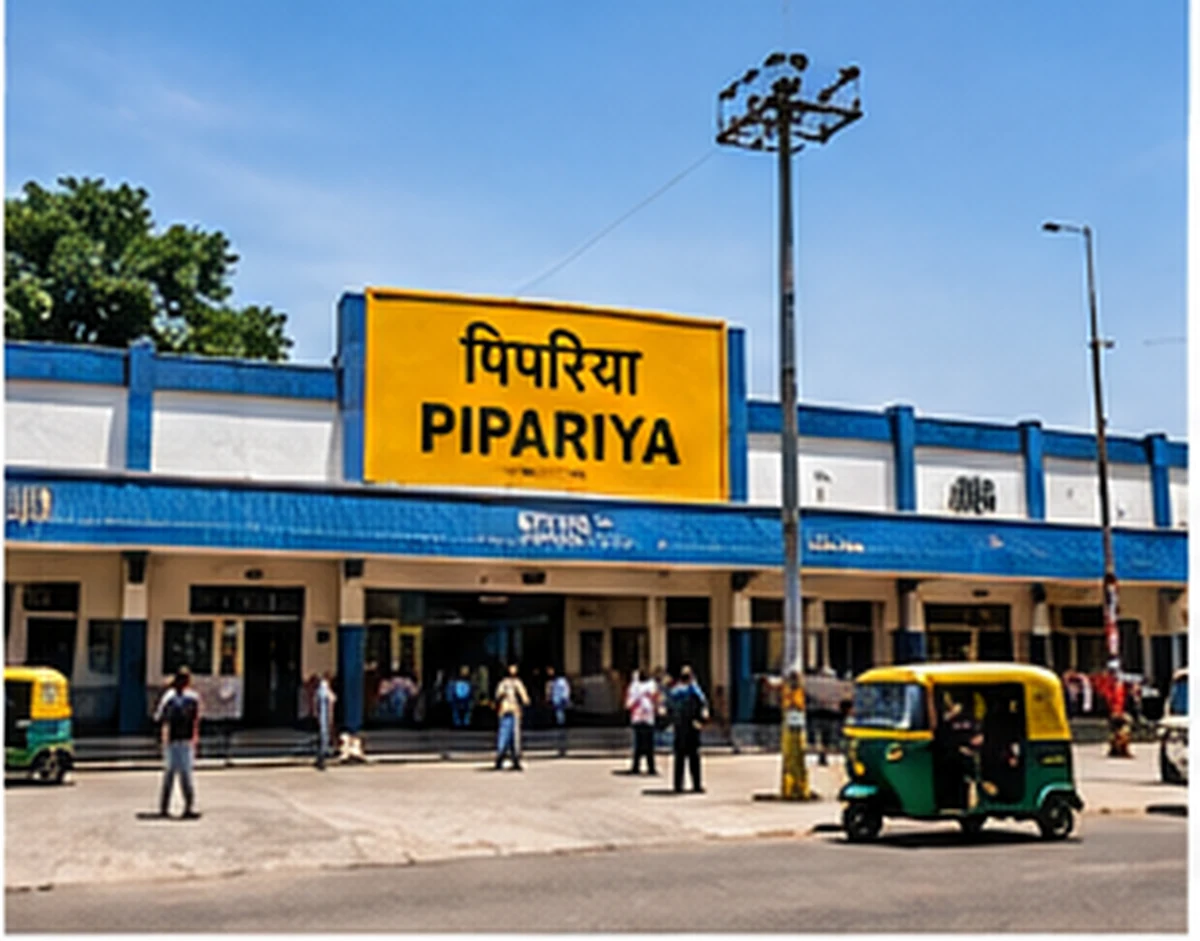 Illustrated road towards Pipariya for a Tamia return cab