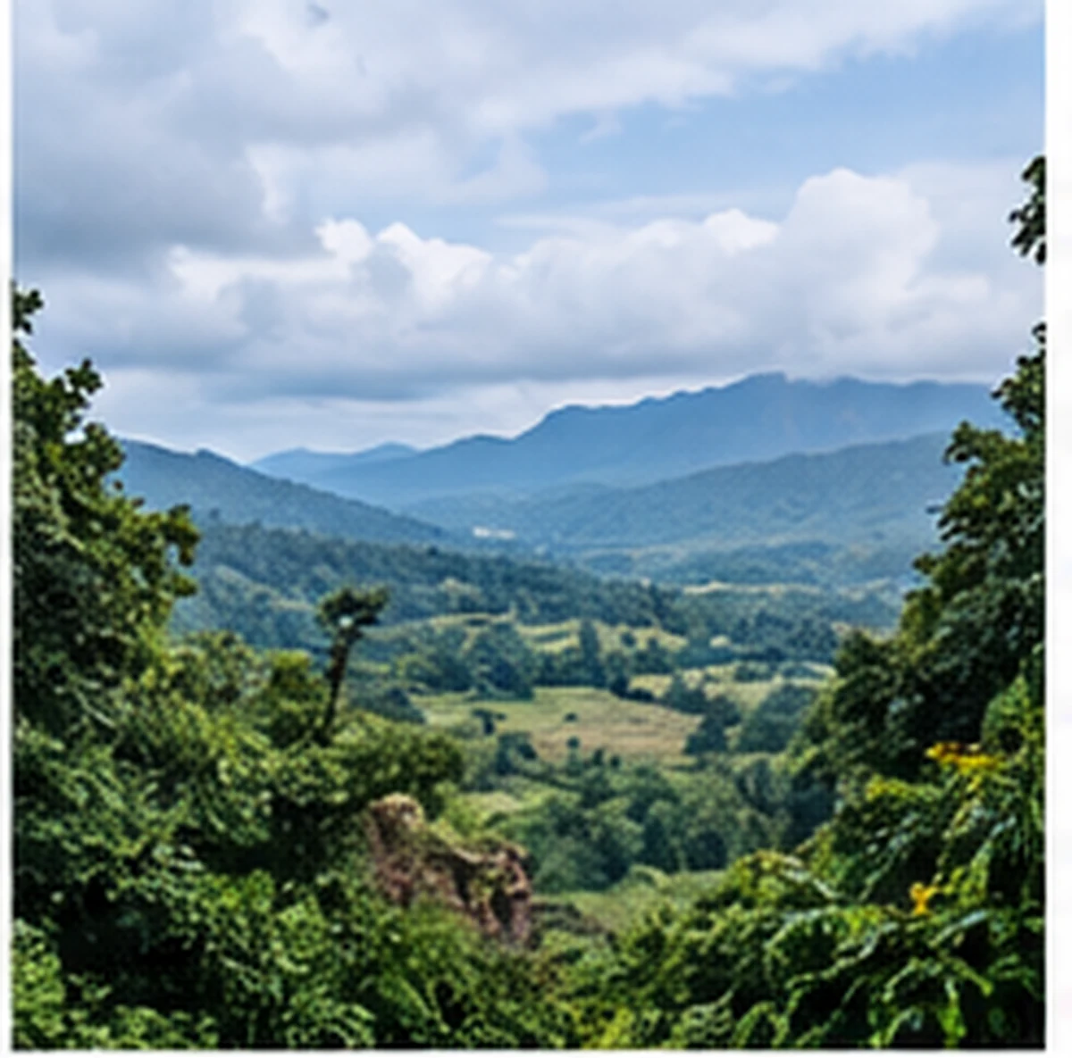 Illustrated Tamia valley for a Pachmarhi to Tamia cab